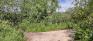 Assiniboine Forest Trails - Harte Trail at Aspen Trail