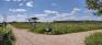 Assiniboine Forest Trails - Harte Trail at Preston Trail