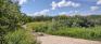 Assiniboine Forest Trails - Preston Trail at Taylor Ave