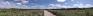 Assiniboine Forest Trails - Preston Trail Clearing - Panorama