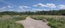 Assiniboine Forest Trails - Preston Trail Clearing - Bench
