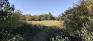 Evesham Key Park - Trail - Exit to Clearing