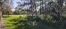 Gladys Bunn Park - East Edge