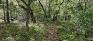 Daniel Flood Park - Trail - West Edge