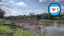 Caron Park - Assiniboine River - St. Charles Grove