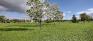 Heubach Park South - Northwest Corner