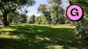 Beauchemin Park - Treeline - SW Clearing - Facing NW