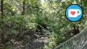Beauchemin Park - Beaverdam Creek - Footbridge - Facing SW