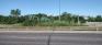 Charleswood Bridge South - Bison Monument
