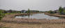 Bridgwater Forest Park - Pond - From North Edge - Facing South