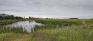 Bridgwater Park - East Pond - Facing South