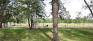 Crescent Drive Park - Playground