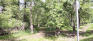 Crescent Drive Park - Trail off Crescent Dr