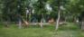 Wildwood Park - Central Playground