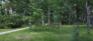 Wildwood Park - Pathways