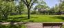 McKittrick Park - Central Clearing