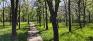 McKittrick Park - Northeast Corner