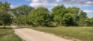 Donald Riverbank - South Clearing - Facing NE