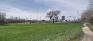 Whittier Park - Pathways - North Edge
