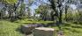 Living Prairie Museum - Homestead