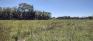 Living Prairie Museum - Self-Guided Trail