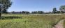 Living Prairie Museum - Football Field