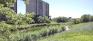 Kirby / Setter Park - Parkway Overlook