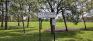 Pat Phillips Park - Northwest Corner