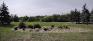 Sturgeon Creek Parkway - Woodhaven - Open Area