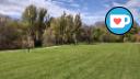 Treeline - Pathway