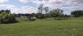 Woodhaven Park - Open Area