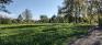 Henteleff Park - Trails - Trees in Fields