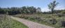 Van Hull Park - Pathway - Southwest Corner